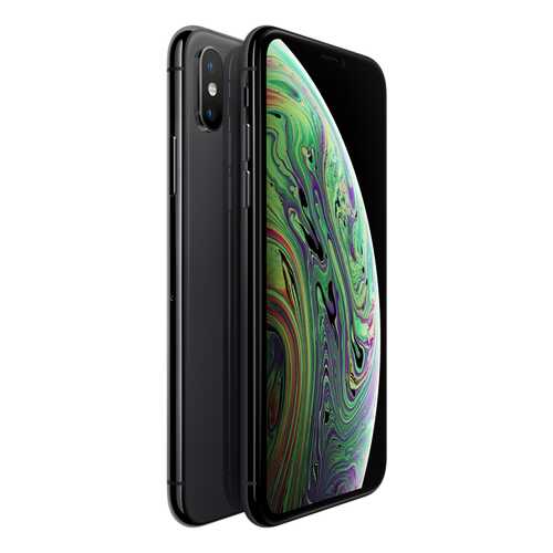 Смартфон Apple iPhone XS 256GB Space Grey (MT9H2RU/A) в Билайн
